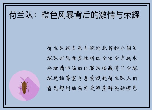 荷兰队：橙色风暴背后的激情与荣耀