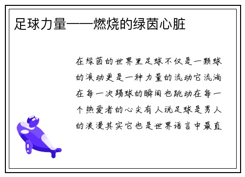 足球力量——燃烧的绿茵心脏